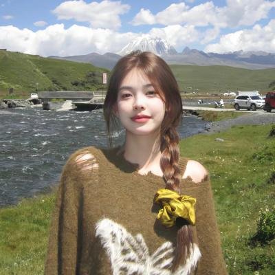 VOICE 110紧急指令室